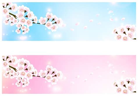 cherry blossom banner vector pack  vector art  vecteezy