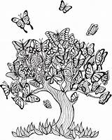 Coloring Pages Tree Butterfly Trees Colouring Dover Publications Adult Printable Book Color Kleurplaten Sheets Mandala Mandalas Tattoo Books Keep Welcome sketch template