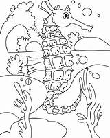 Independently Seahorse sketch template