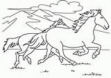 Horse Cheval Chevaux Mignon Ordinateur Colorier Pinto Faire Outline Coloringhome Library Catégorie Getdrawings sketch template