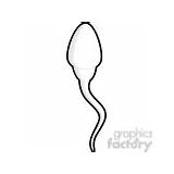 Sperm Clip Clipart Graphicsfactory Quick Found Semen sketch template