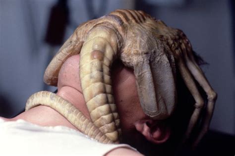 alien film facts you may not know to mark 40th anniversary mirror online