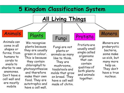 5 Kingdoms Classification Of Organisms Origin Of Life Animated Otosection