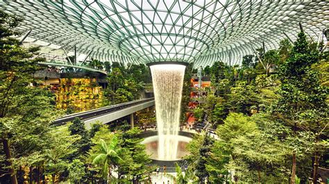 singapore  jewel changi airport   treat  jungle lovers