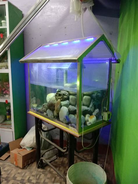 home aquarium fish tank size        rs piece