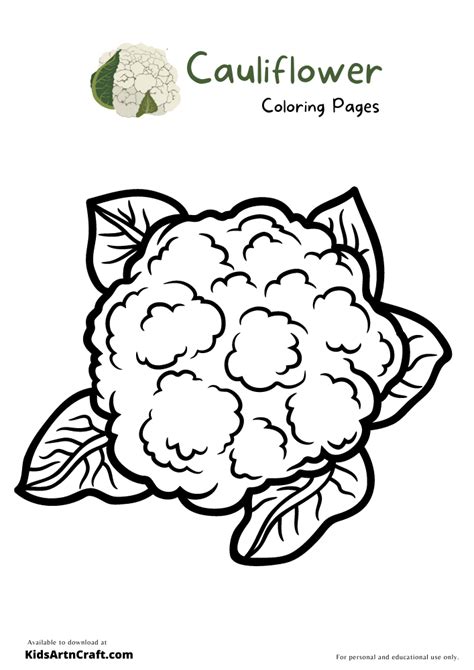 cauliflower coloring page  kids coloring home