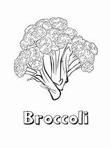 Coloring Broccoli Pages Vegetables Recommended sketch template