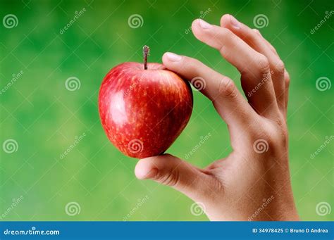 apple royalty  stock photo image