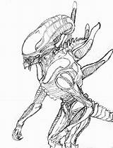 Xenomorph Drawing Pages Nk Coloring Alien Drawings Movie Queen Sketch Deviantart Predator Template Vs Getdrawings King sketch template