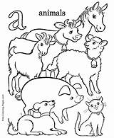 Coloring Pages Alphabet Book Animals Print sketch template