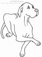 Dane Great Drawing Lineart Deviantart Dog Pages Line Outline Drawings Coloring Danes Anbu Choose Board Shepherd German Baby Template Puppy sketch template