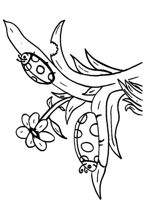 click share  story  facebook coloring books ladybug coloring page coloring pages