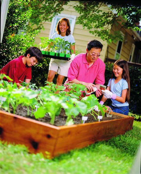 continue  benefits  vegetable gardening   fall