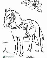 Coloring Horse Printable Saddle Pages Below Click sketch template