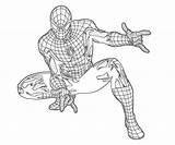 Coloring Spider Avengers Onlycoloringpages sketch template