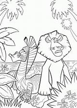 Madagascar Coloring Pages Coloringpages1001 Alex Marty Para Print sketch template
