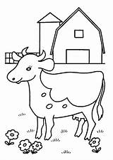 Cows Vache Koeien Coloriage Koe Kleurplaatje Boerderij Hugo sketch template