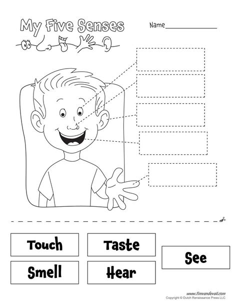 senses kindergarten worksheet