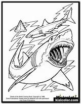 Coloring Shark Sharks Tiburones Kolorowanki Dibujos Hai Rekin Malvorlagen Rekiny Ausdrucken Druku Bestcoloringpagesforkids Konabeun Haie Dzieci Kostenlos Ausmalen Quiver Misterart sketch template