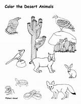 Desert Coloring Pages Print Kids Color Animals Plants sketch template