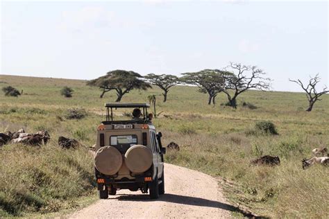 serengeti national park safari vehicle wallpaper wallpaperscom