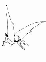 Pteranodon Coloring Pages Pterodactyl Dinosaur Drawing Printable Flying Getdrawings Drawings Supercoloring Clipart Categories sketch template