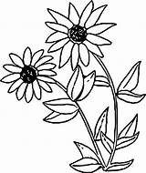Eyed Wecoloringpage sketch template