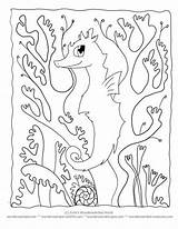 Seepferdchen Seaweed Seahorse Seahorses Coloringhome Insertion sketch template