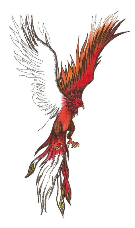 phoenix tattoo  progress  beachmandeviantartcom