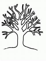 Coloring Tree Leaves Popular sketch template