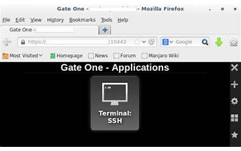 Gate Browser screenshot #5