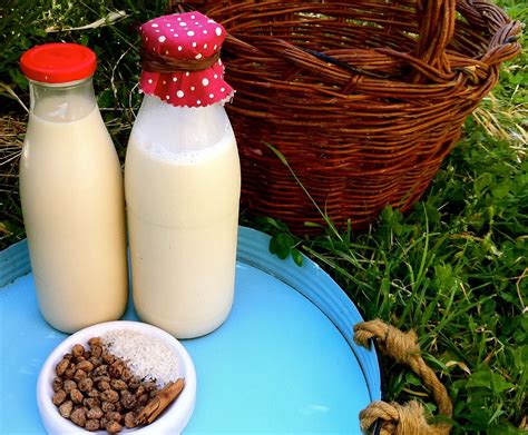 sugar free rice milk tigernut horchata plant milk