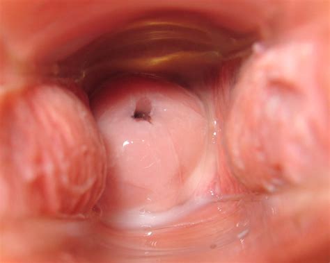 inner vagina tumblr cervix