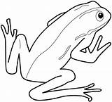 Frog Coloring Pages Printable Frogs Categories sketch template