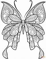 Zentangle Butterfly Coloring Pages Template sketch template