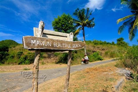 lying  mawun beach lombok   haven lombok island