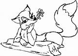 Coloring Pages Fox sketch template