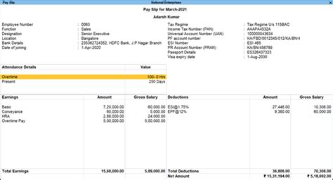 types  payroll reports   create tally solutions