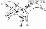 Pterodactyl Coloring Pages Printable Kids Fish sketch template