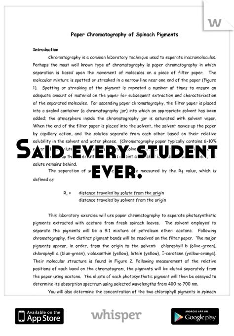 type   college paper single space     double space