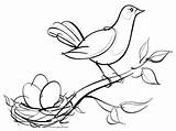 Bird Nest Coloring Sketch Pages Drawing Kids Color Cute Drawings Getdrawings Tocolor Baby Visit sketch template