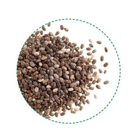 Chia Seeds Black Z Company Natural Health Food Ingredients Wholesaler