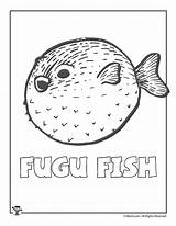 Fugu Fish sketch template