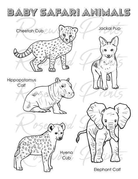 baby jungle animals coloring pages