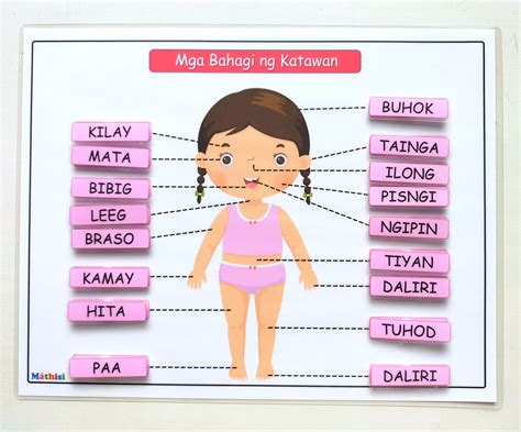 body parts worksheet english tagalog learning material teaching