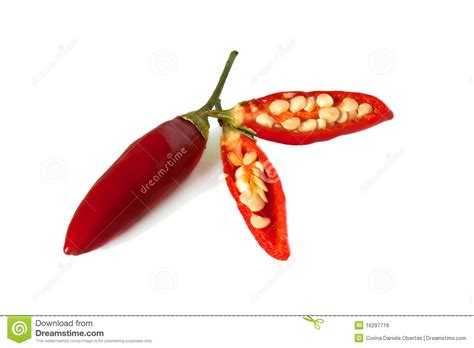 hot chili isolated stock image image  ripe ingredient