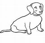 Dog Weiner Baby Pages Coloring Puppy Realistic Coloringpagesonly sketch template