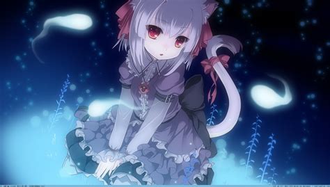 Free Download Wallpaper Catgirl 1 Anime Wallpaper Catgirl