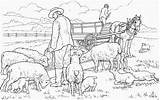 Ferme Sheep Schafe Mouton Eid Adha Moutons Schapen Coloriages Kleurplaten Malvorlagen Bauernhof Schaf Kleurplaat Pecore Domba Mewarnai Malvorlage Colorier Animierte sketch template