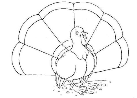 turkey colouring turkey coloring pages cool coloring pages printable